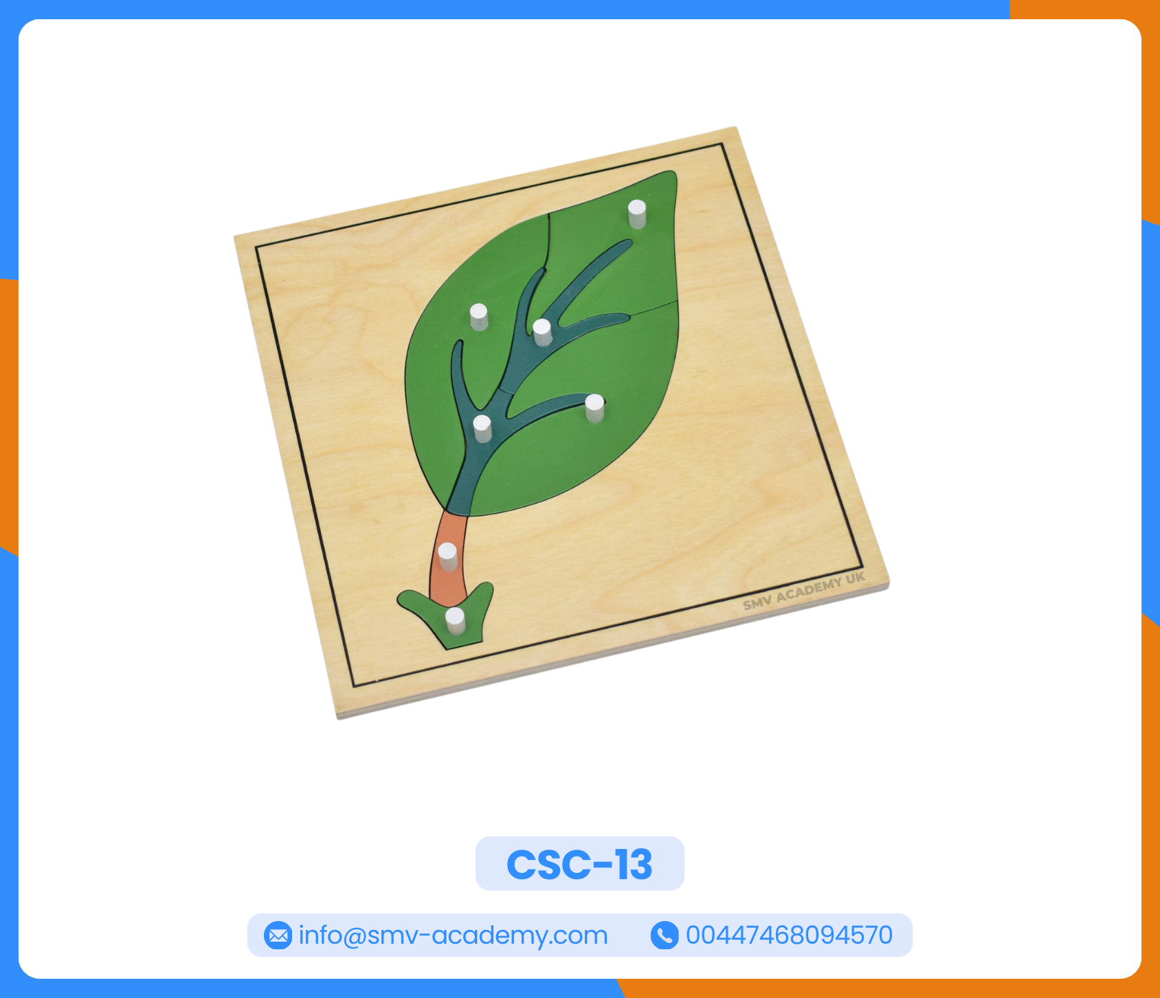 مجموعة بازل أجزاء النبات - Parts of a Plant Puzzle